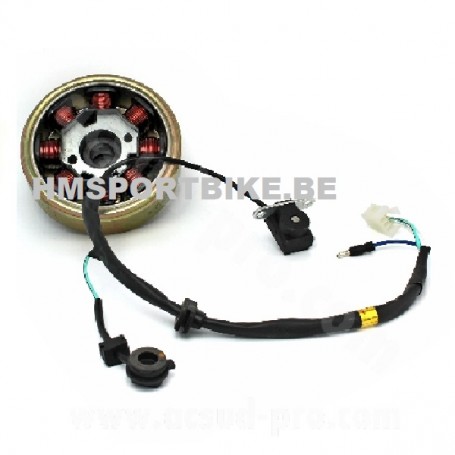 STATOR ET ROTOR CITY DAX INJECTION ZHENHUA-SKYTEAM 50CC 125CC EFI EURO4 8 POLES