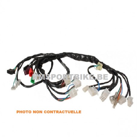 FAISCEAU CABLAGE COMPLET MINI MOTO LIFAN REPLIQUE MONKEY