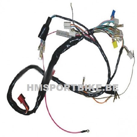 FAISCEAU CABLAGE COMPLET ZHENHUA SKYTEAM TNT CITY JINCHENG BEATI EURO2