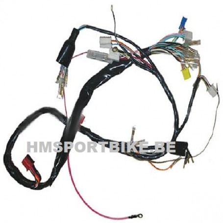 FAISCEAU CABLAGE COMPLET SKYTEAM TYPE DAX AVEC RESERVOIR 5.5L ET JAUGE