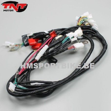 FAISCEAU CABLAGE COMPLET TNT ROMA BOSTON 4 TEMPS EURO 4 31 CONNECTIQUES