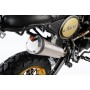 BULLIT HERO 250cc GOLD / BLACK