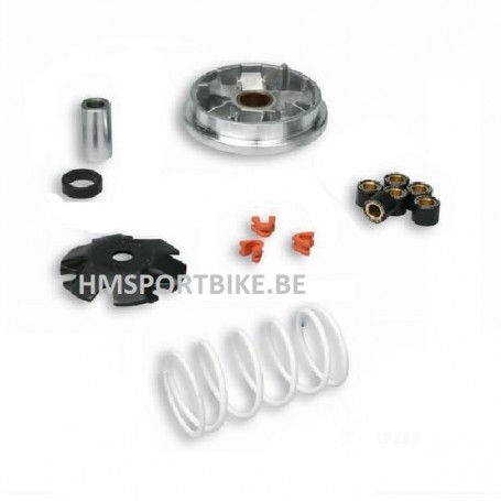 VARIATEUR VARIO MALOSSI MULTIVAR SCOOTER PEUGEOT 2 TEMPS