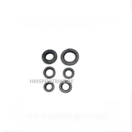 POCHETTE DE JOINTS SPI BOURRAGE 30x47x6 - 22x40x7-20X30X7-18X28X7-18X30X7-15.6X25.5X7 PEUGEOT SPEEDFIGHT 1 / 2 BUXY