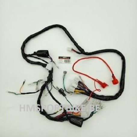 FAISCEAU CABLAGE COMPLET ANCIEN SKYTEAM TNT CITY JINCHENG BEATI EURO2