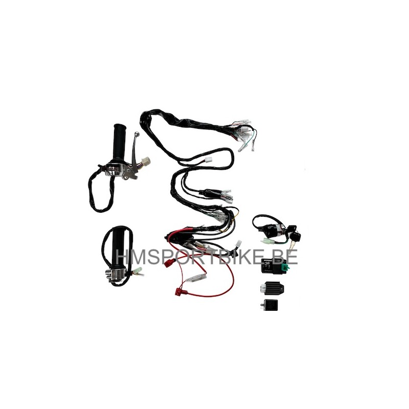 Extension de Faisceau de Câbles MPR Custom Dynamics Harley