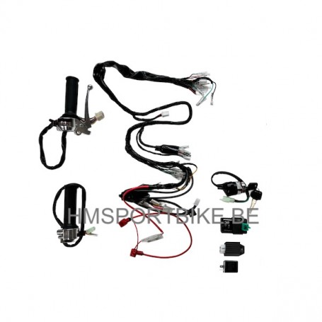 FAISCEAU CABLAGE SEMI/COMPLET ET SES COMPOSANTS ORIGINE SKYTEAM (DAX) ZHENHUA TNT CITY JINCHENG BEATI EURO2