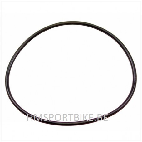 JOINT O-RING  TORIQUE 53.7x1.78 POMPE A EAU MINARELLI HORIZONTAL