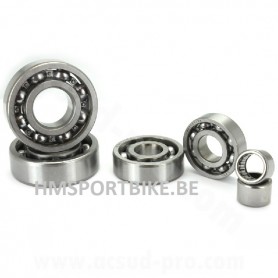 KIT 6 ROULEMENTS MOTEUR 139FMB-B ARCHIVE 50 MASH FIFTY POUR ARBRE DE BOITE EN 17.2 (6000  6001  6201  6203